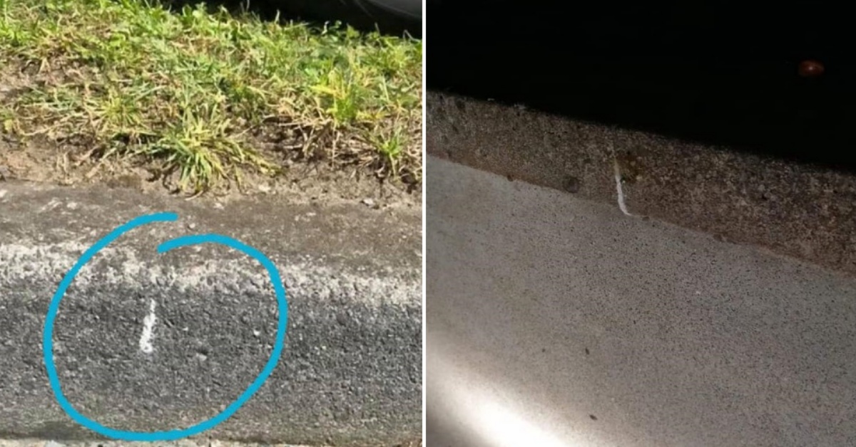 Hai visto dei segni di gesso bianco sulla porta? Il tuo cane potrebbe essere in pericolo