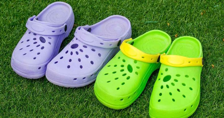 Volpe ruba le Crocs