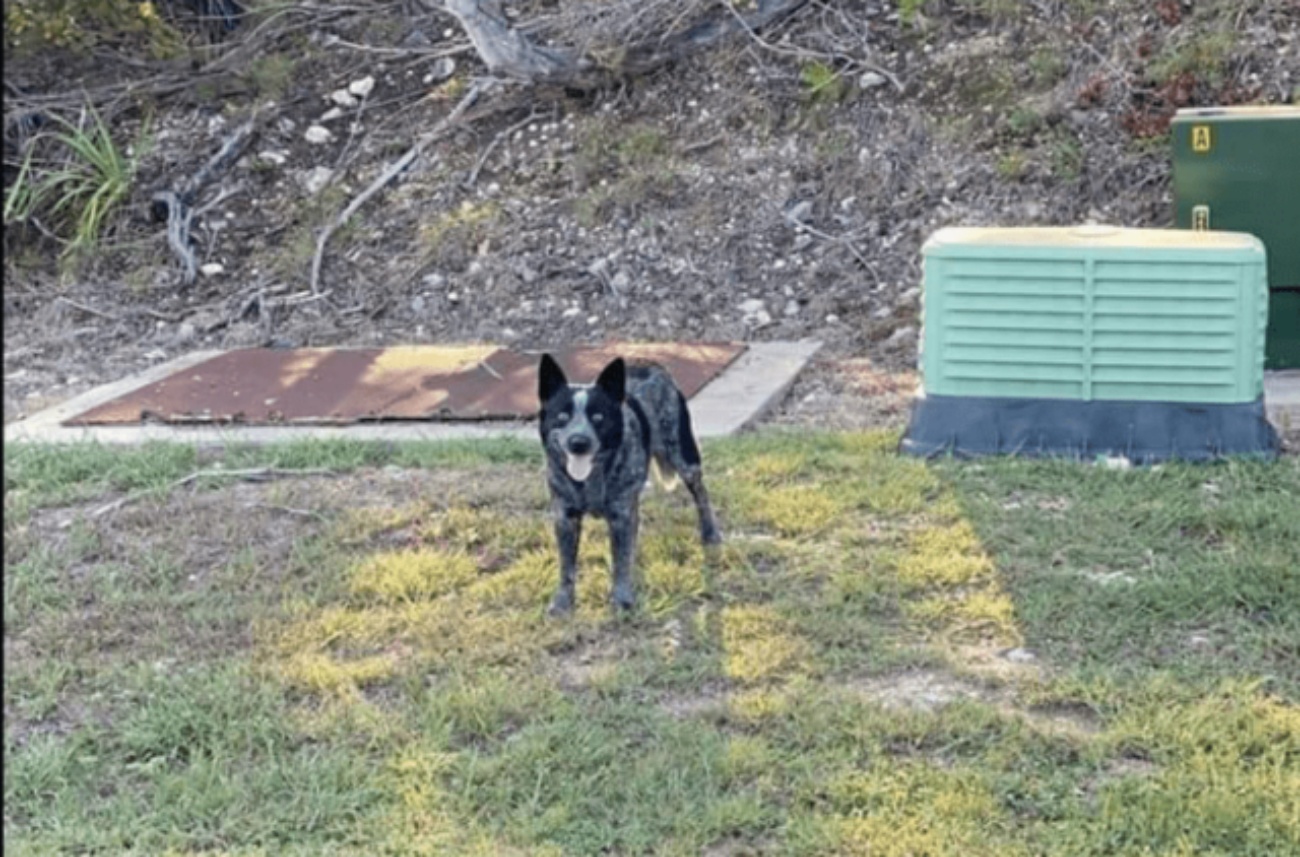 La storia di Axle