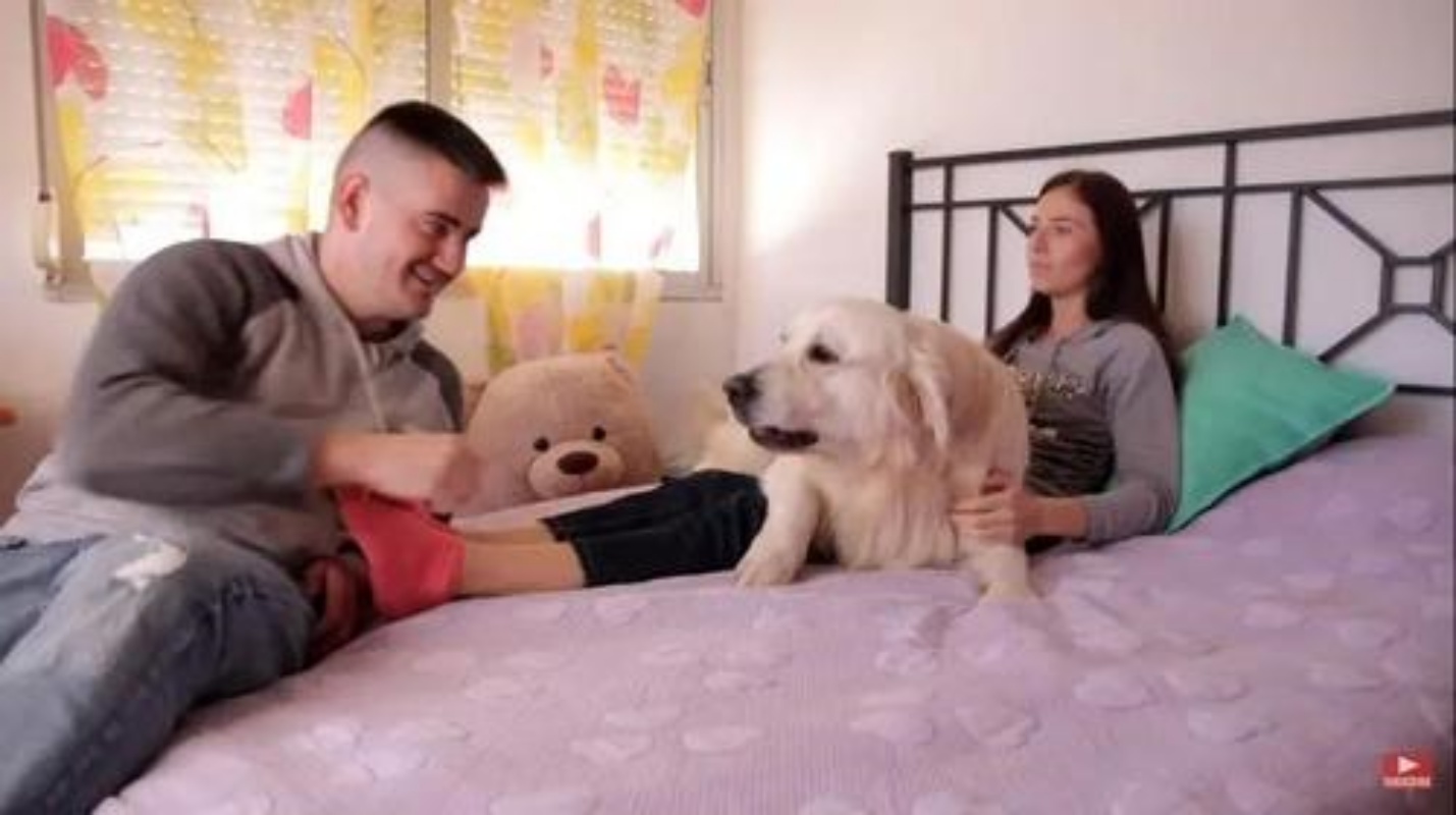 Il divertente video di Bailey, il Golden Retriever geloso della sua mamma