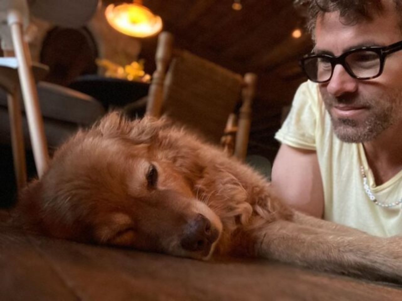 Il mai banale Ryan Reynolds, augura buon compleanno al suo cane Baxter