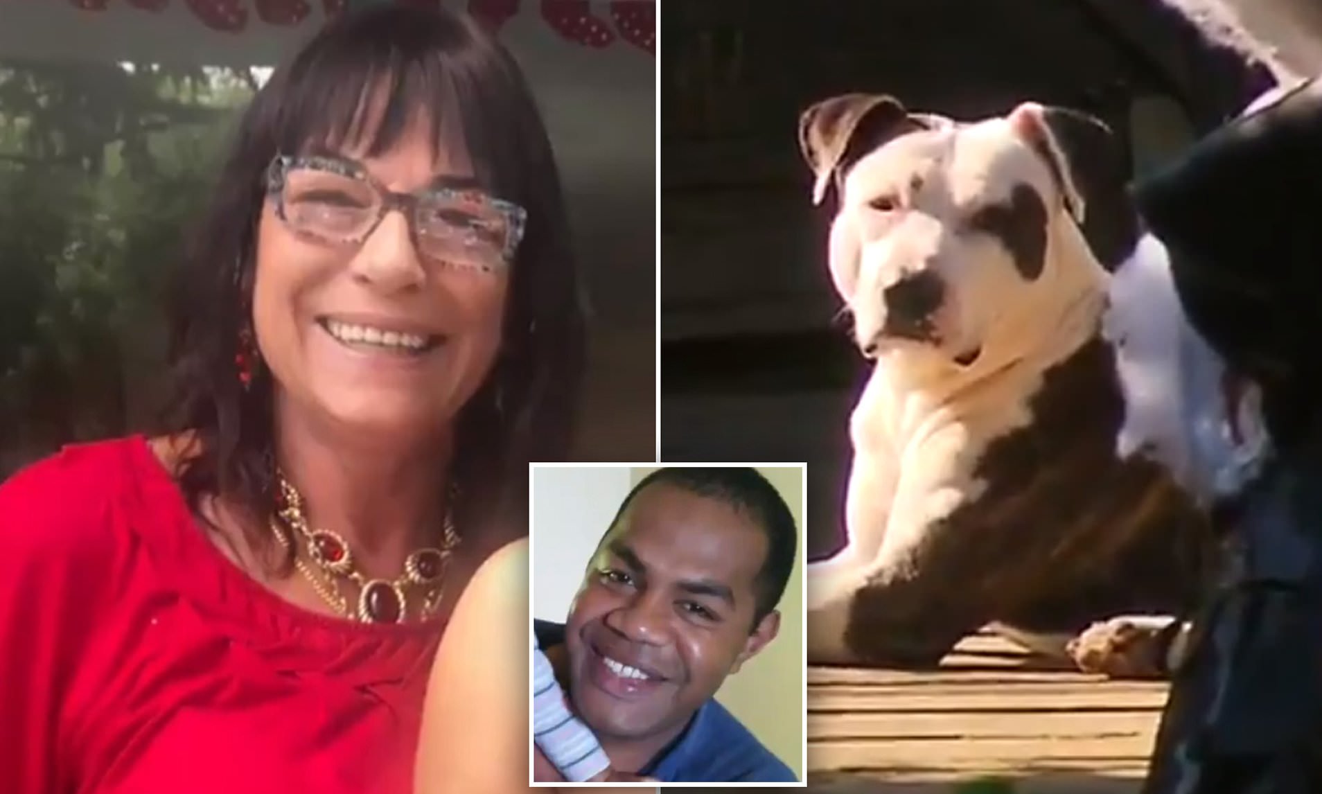 Il cane Caesar