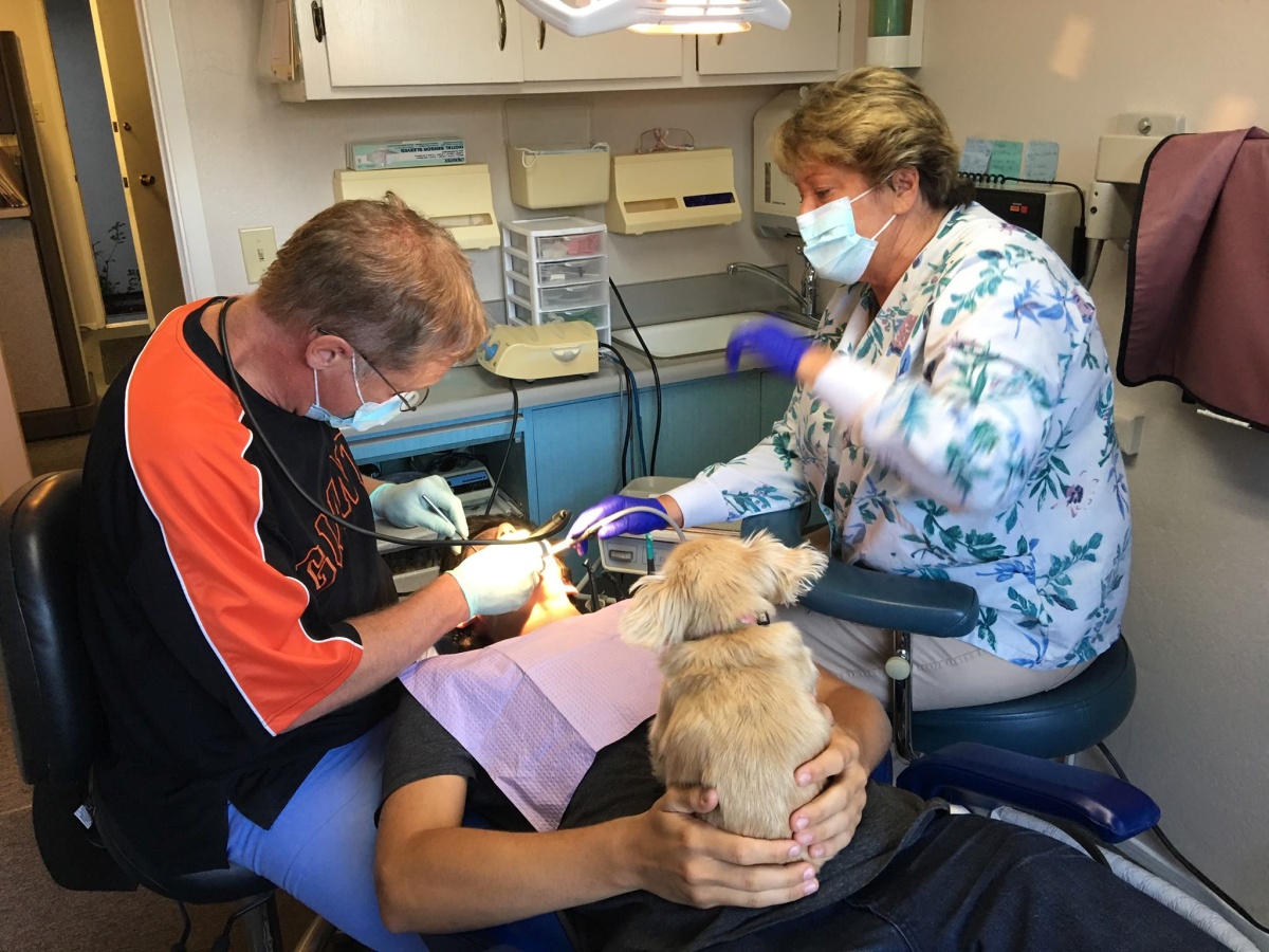 Kismet, l’anziano chihuahua che conforta i pazienti del dentista