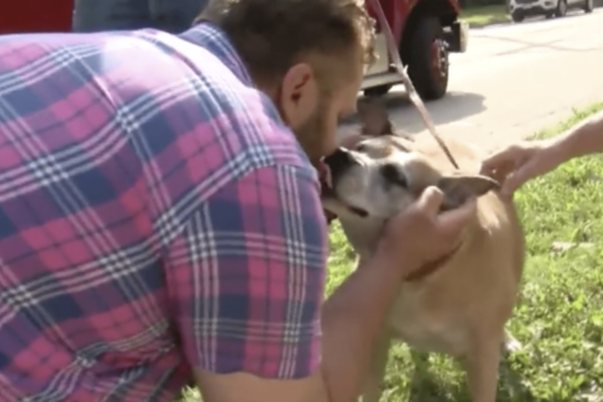 Rischia la vita per il cane di uno sconosciuto: il salvataggio di Loduha