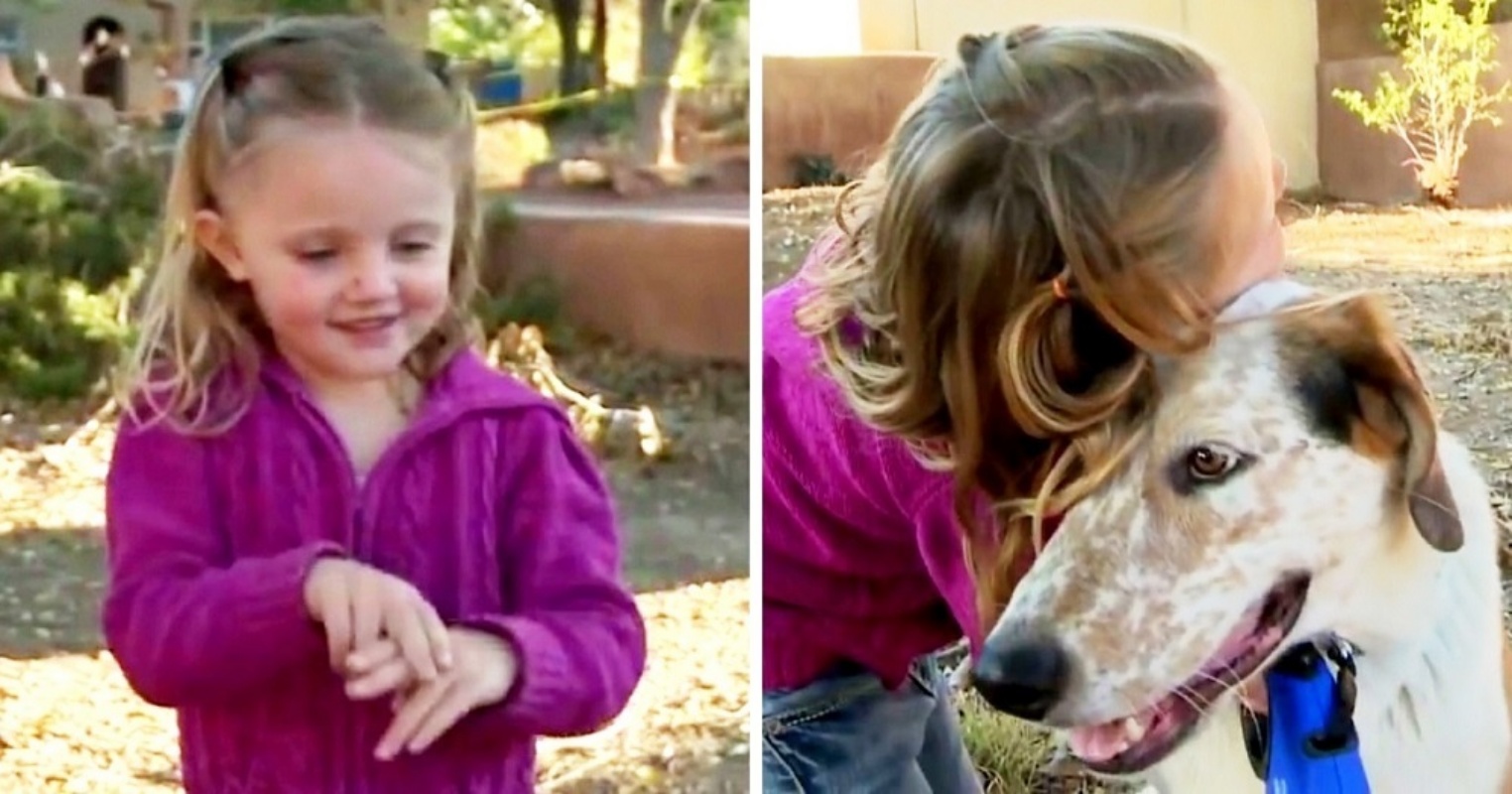 Neeva e il cane Baxter