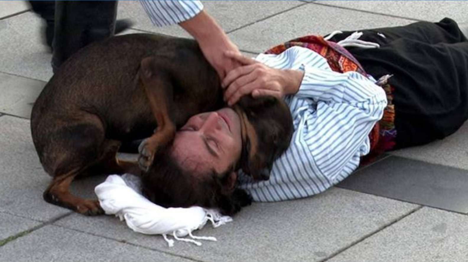 Attore e il cane randagio