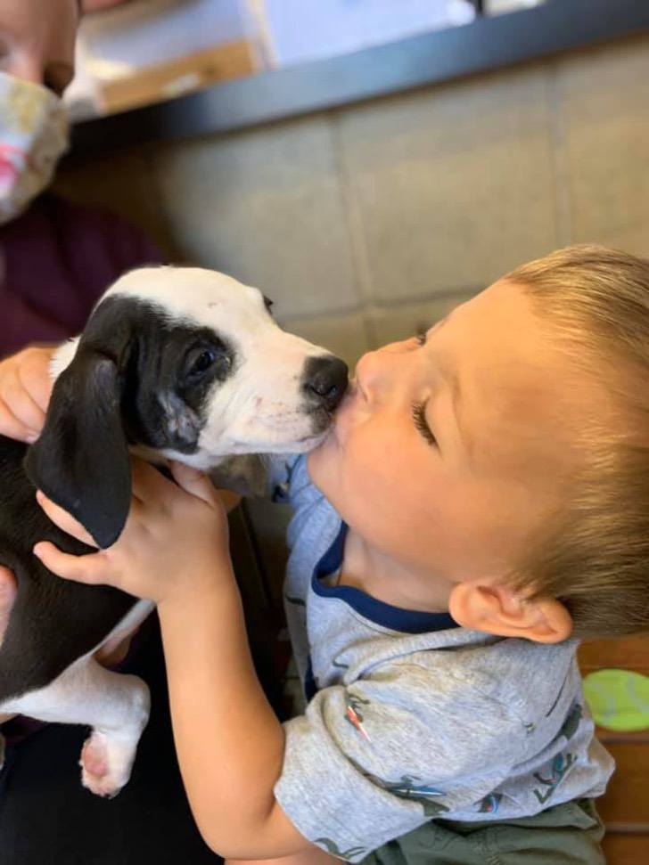 Il bacio tra il bimbo e il cane