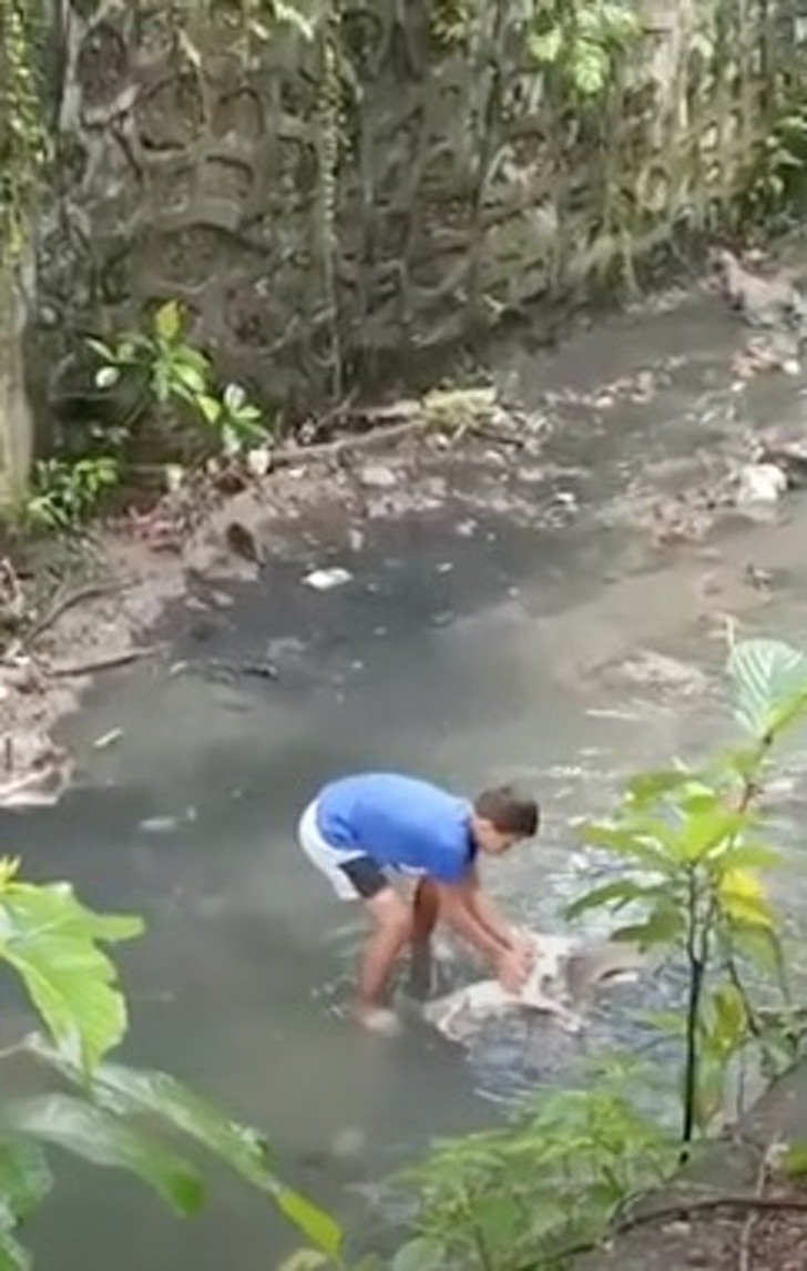 Ragazzino si lancia in un canale