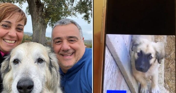 Il cucciolo Cloud e Benedetta Rossi