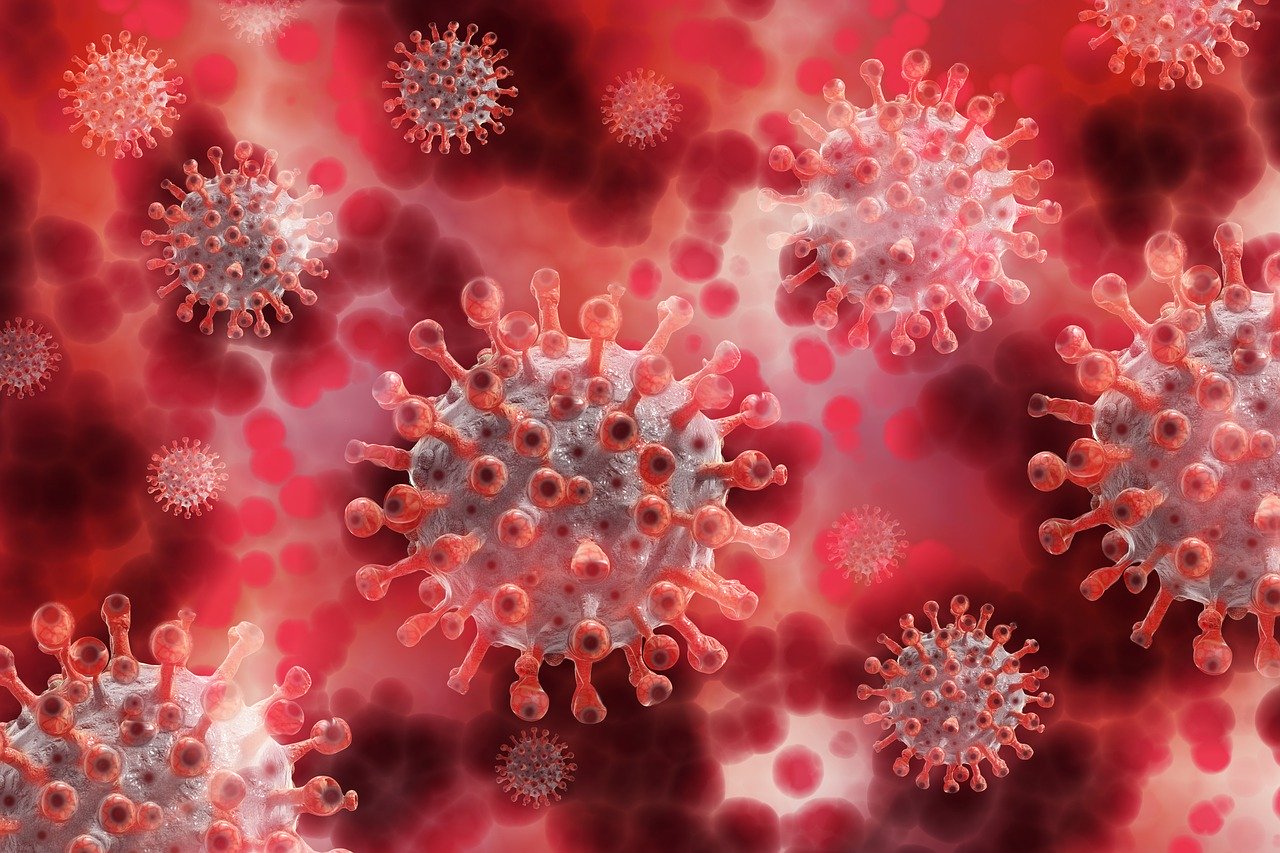 Il nuovo Coronavirus