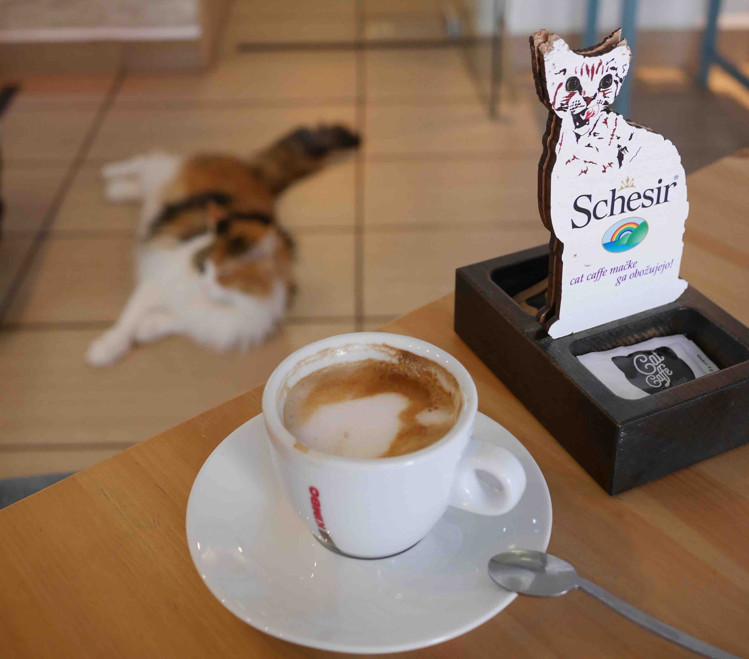 Cat caffè