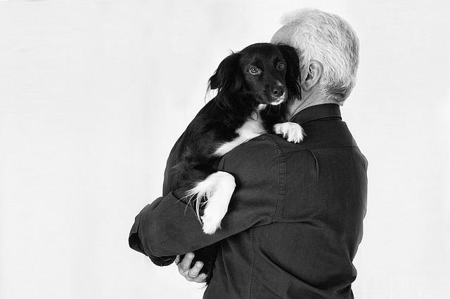 Cane affezionato al suo proprietario