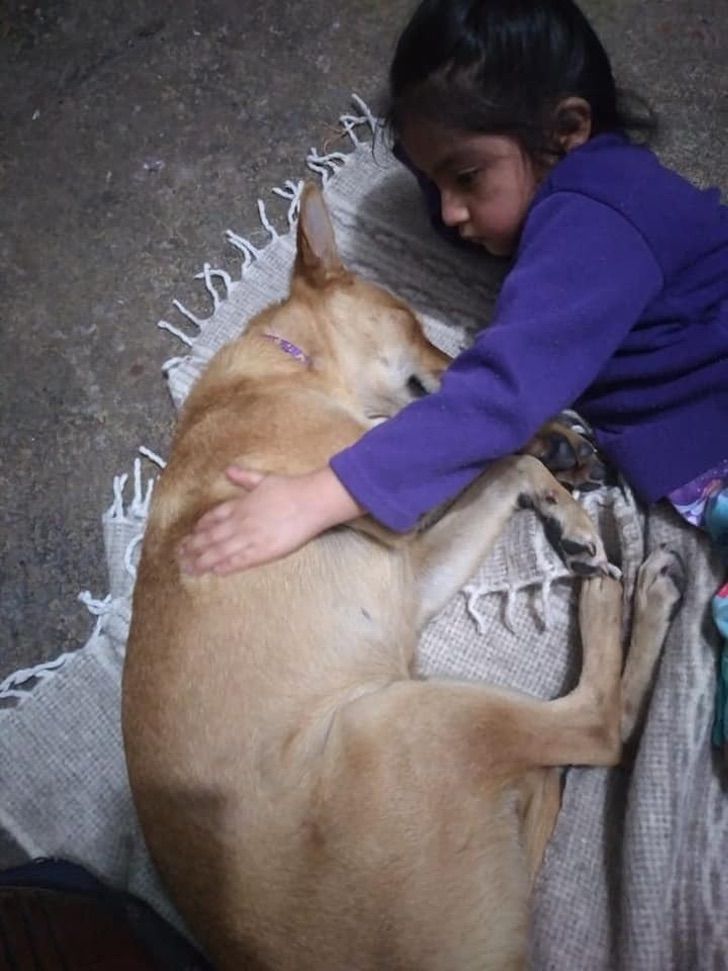 Cagnolino e bambina inseparabili