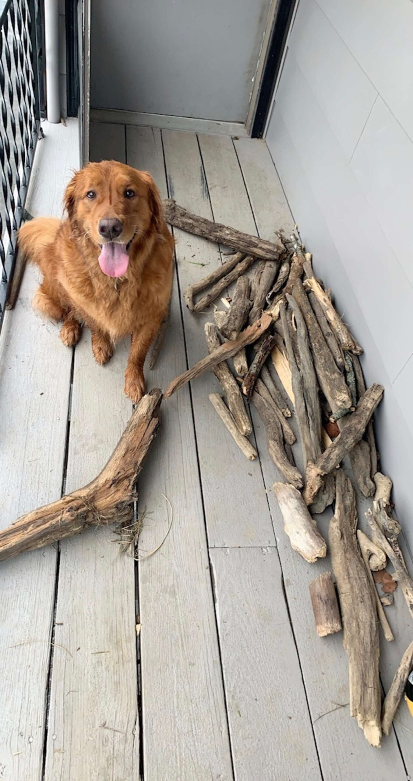 Pezzi di legno davanti casa