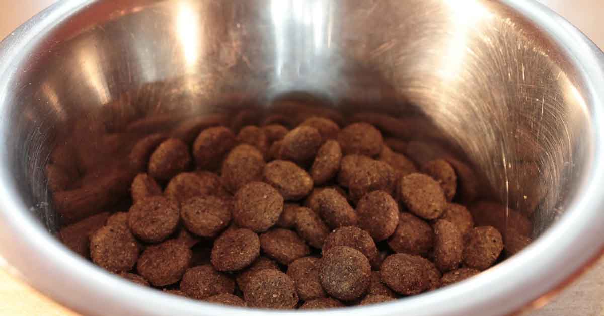 Cucciolo rifiuta il cibo fino a quando il proprietario non fa la magia