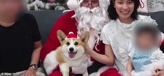 Il cane rapito con la sua famiglia