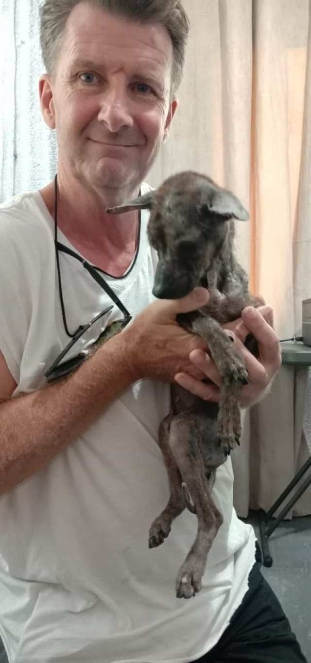 Peanut il cane di 8 mesi salvato