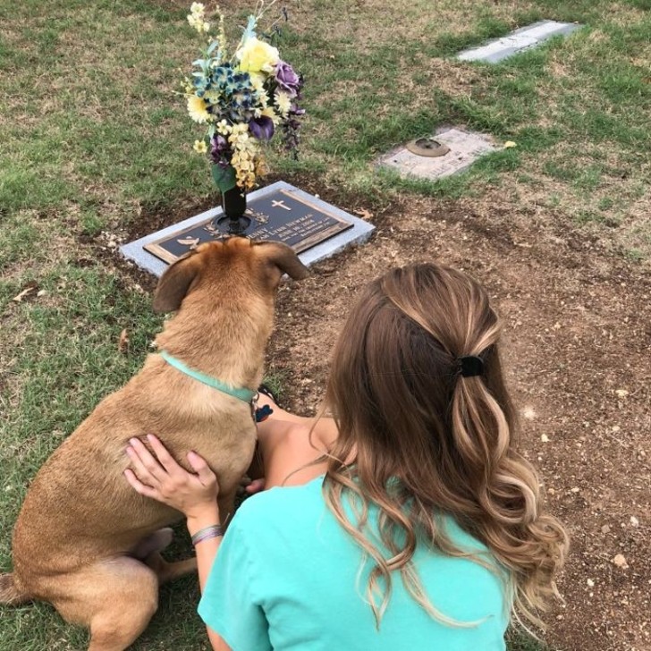 Prendersi cura del cane della sorella