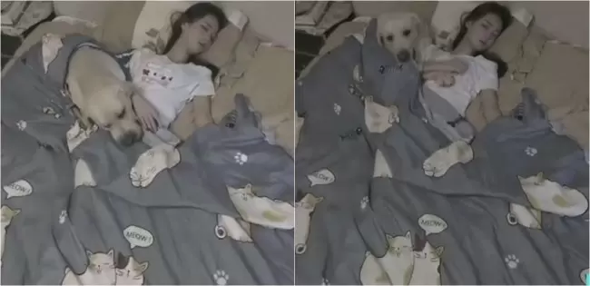 Ragazza dorme nel letto con il suo cane
