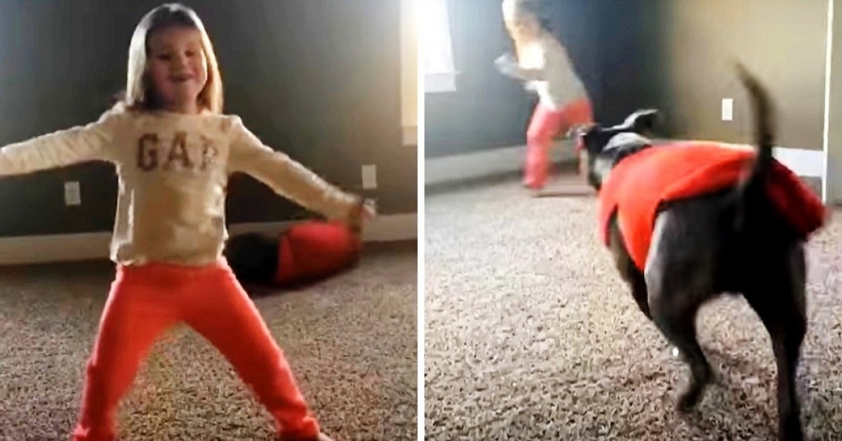 La clip esilarante del pit bull Oakland e della sua sorellina umana Kailyn: è diventata virale sul web