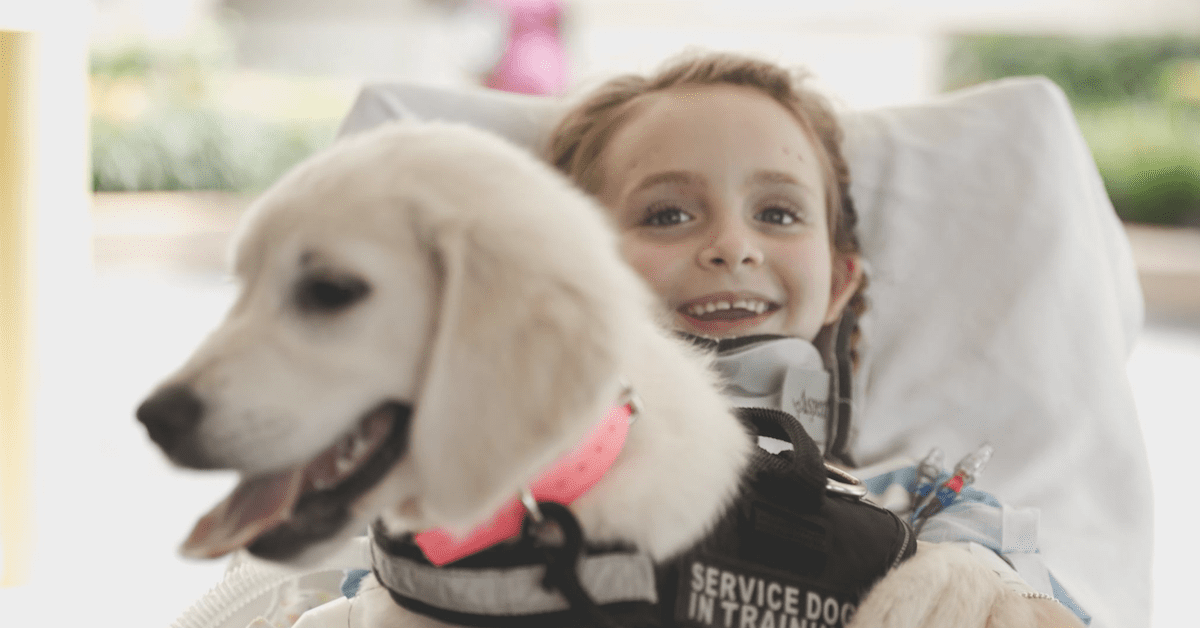 Il primo incontro tra Memphis Rose, una bambina di 6 anni e il cane di servizio Juliet