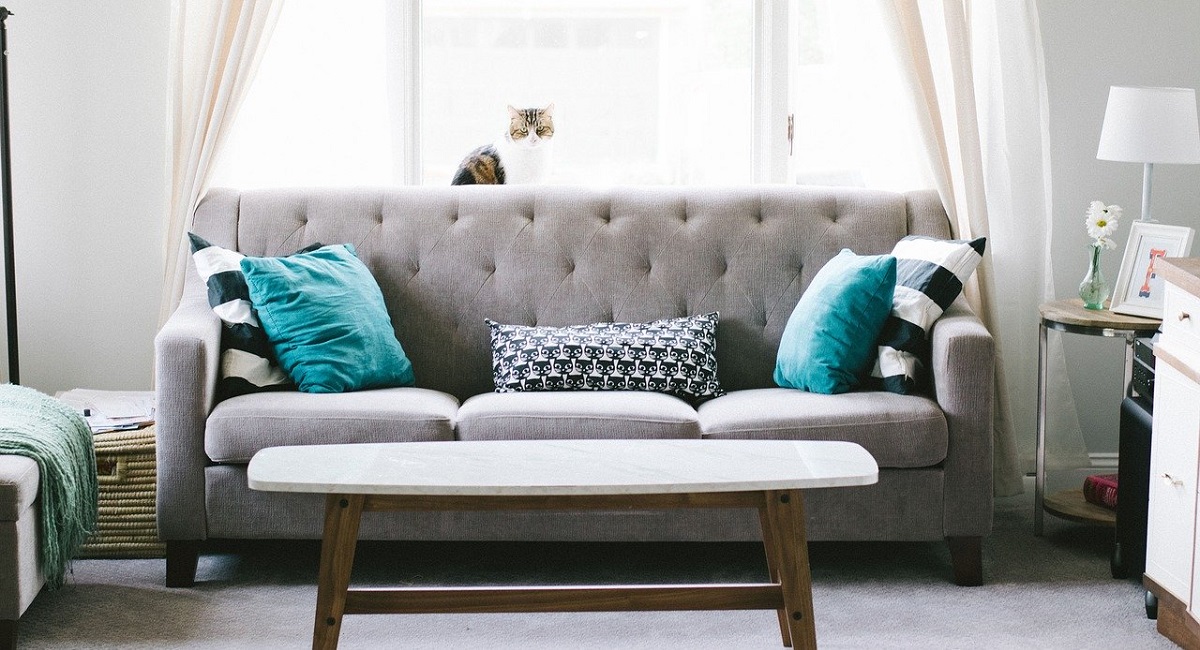 Come pulire i cuscini del divano? Trucchi e consigli per renderli belli e profumatissimi