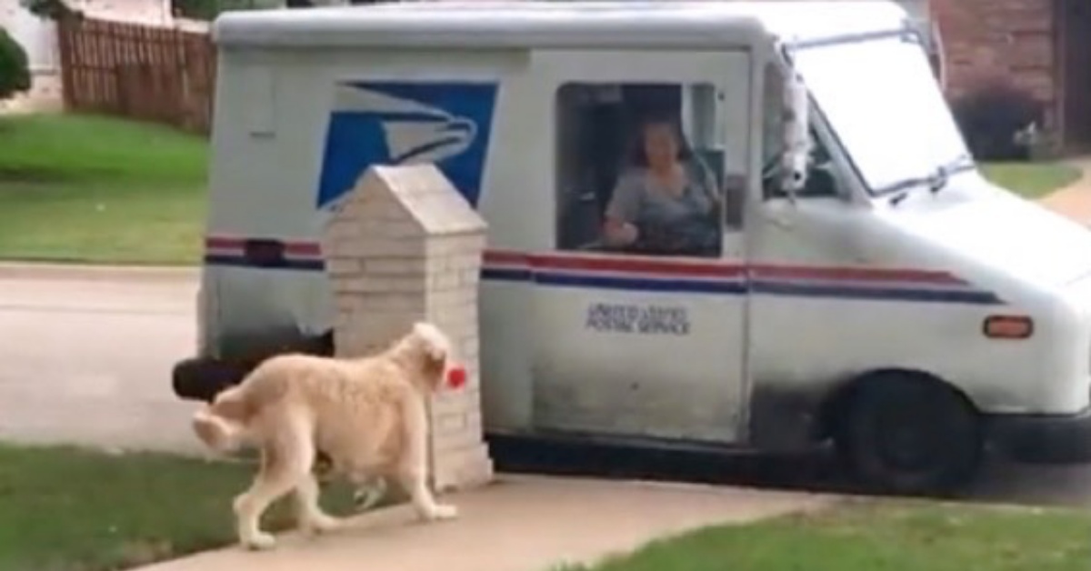 Reggie Carl il cane che porta la rosa alla postina: hanno un bel legame