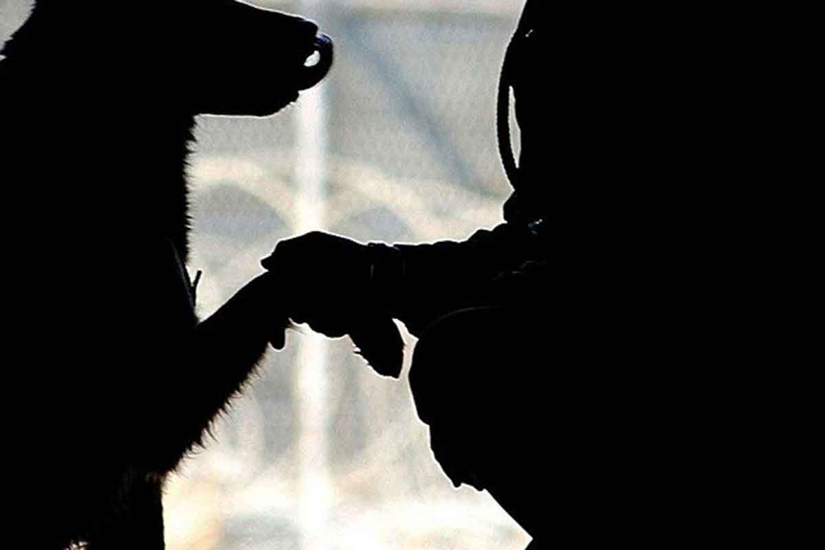 Senzatetto cerca il cane e offre come ricompensa, poi la svolta inaspettata