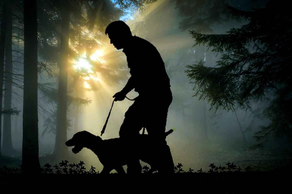 Passeggiata del cane malato