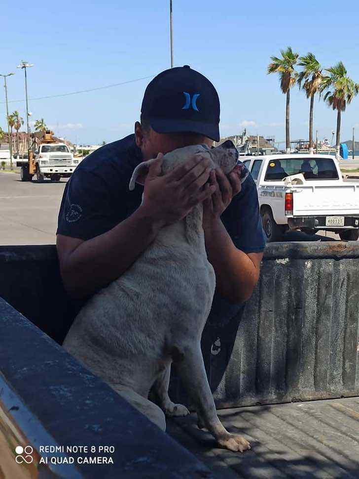 L'ultimo saluto al cane