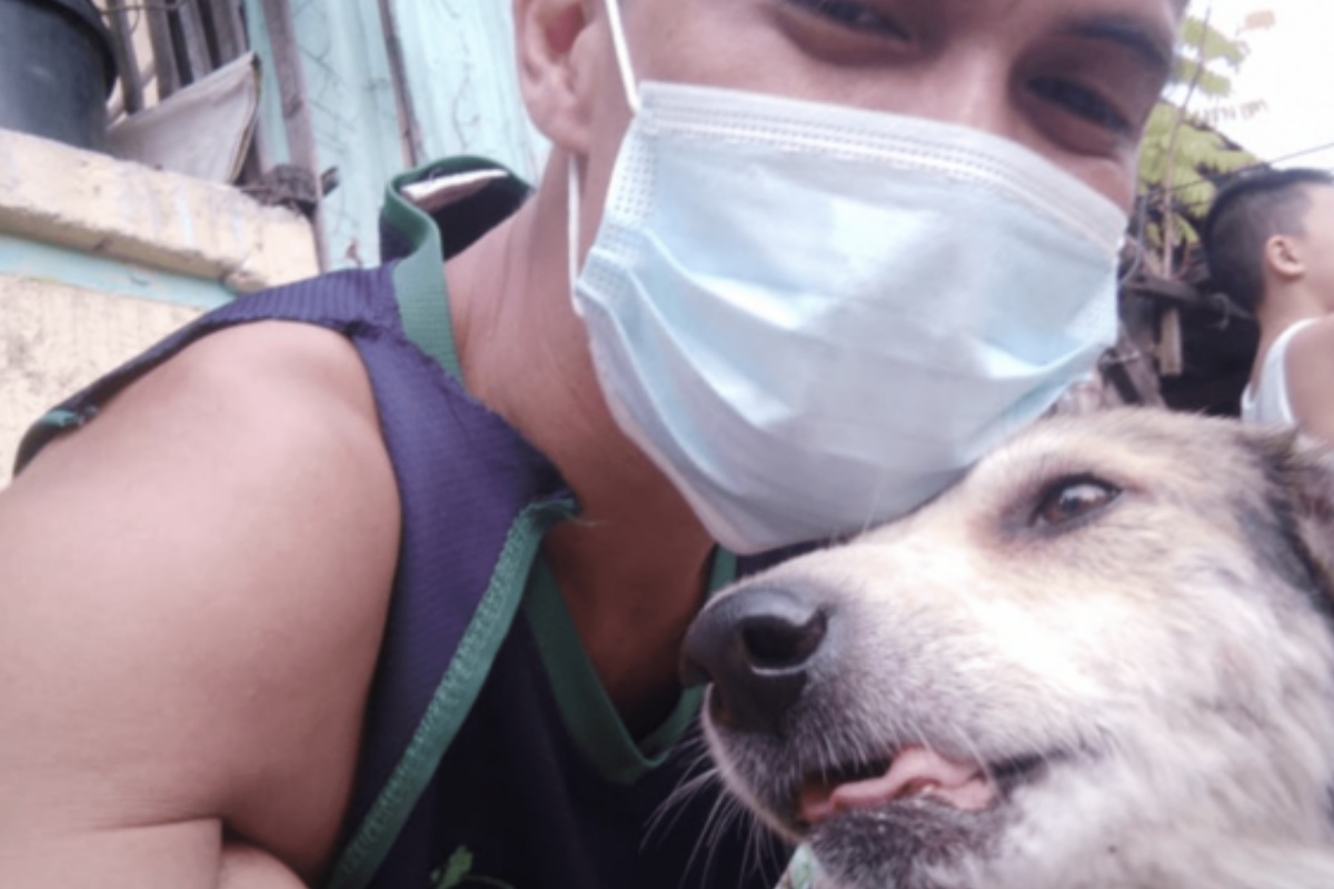 Il cagnolino Coco scomparso per tre mesi