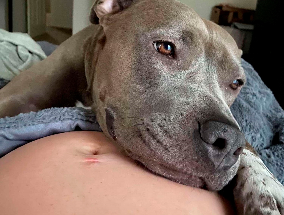 Ellie la tata di Peytyn