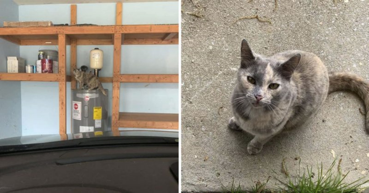 Giselle e il gatto nel garage