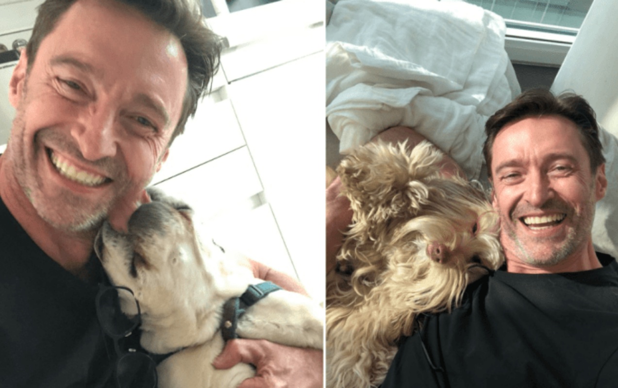 Hugh Jackman e i suoi due cani: i post su Instagram