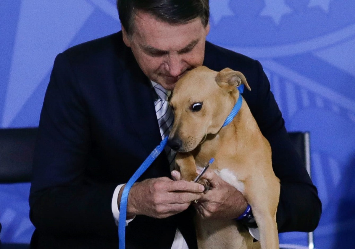 Jair Bolsonaro inasprisce la legge per la tutela animali