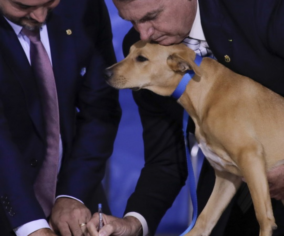 Jair Bolsonaro inasprisce la legge per la tutela animali