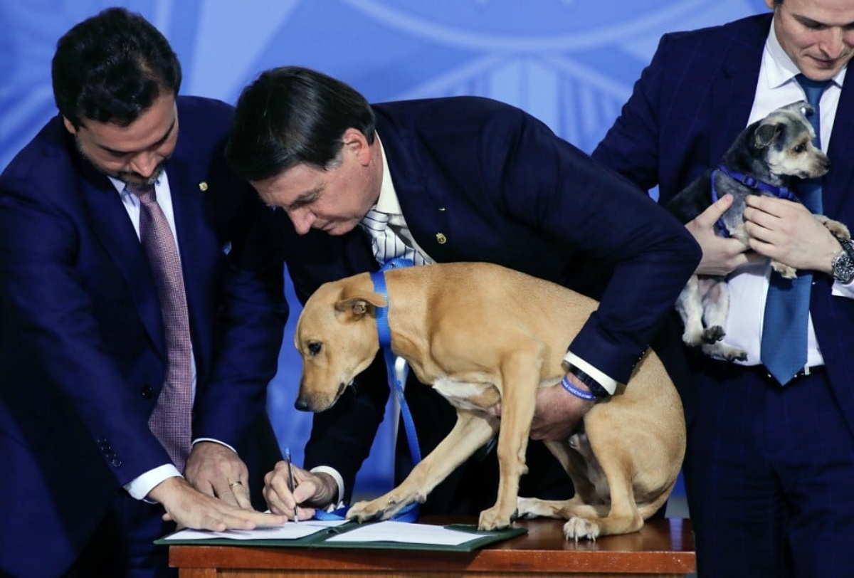 Jair Bolsonaro inasprisce la legge per la tutela animali