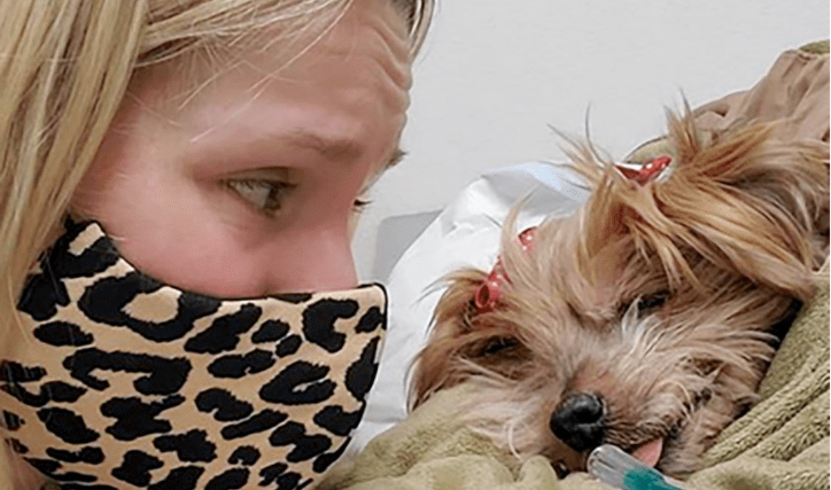 Kristen Bell dice addio a Barbara
