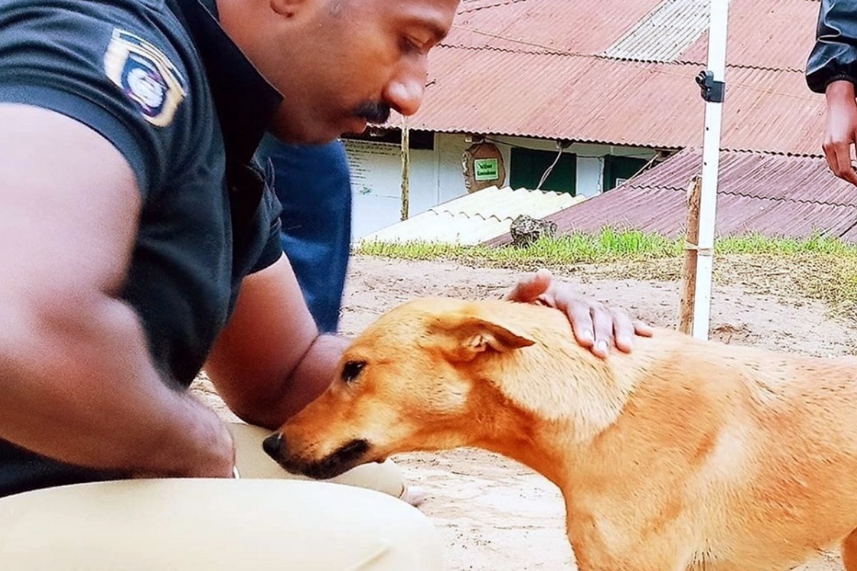 La storia del cagnolino Kuvi