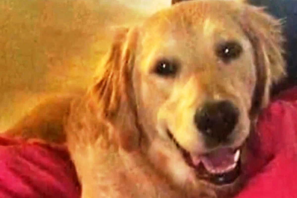 L’avvertimento di Samantha dopo la morte della sua cagnolina Luna