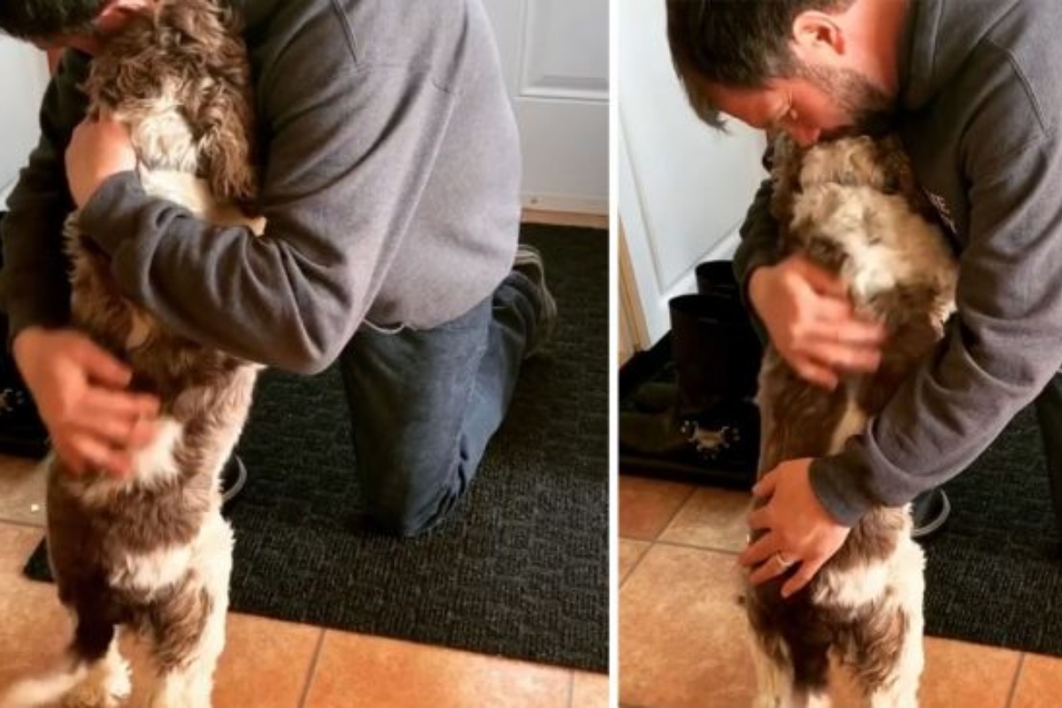 Max, il cane che abbraccia tutti quelli che fanno visita a casa sua
