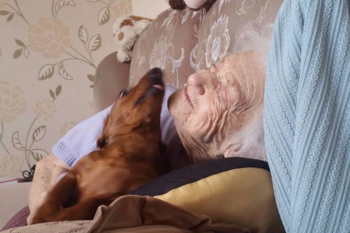 La splendida amicizia tra la cagnolina Orla e un’anziana nonnina malata