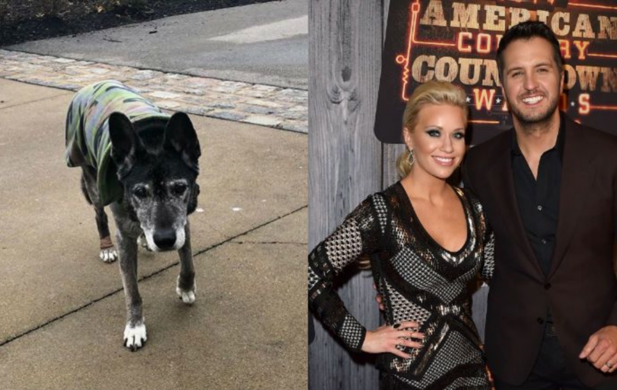 Morto Poochie il cane di Luke Bryan