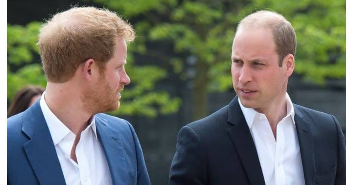 Meghan Markle ed Harry: ecco cosa ne pensa il Principe William della loro fuga