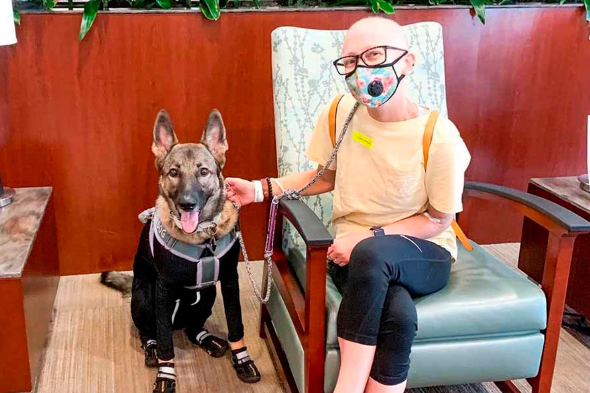 Tulsa, il cane che sostiene la sua mamma durante la chemioterapia