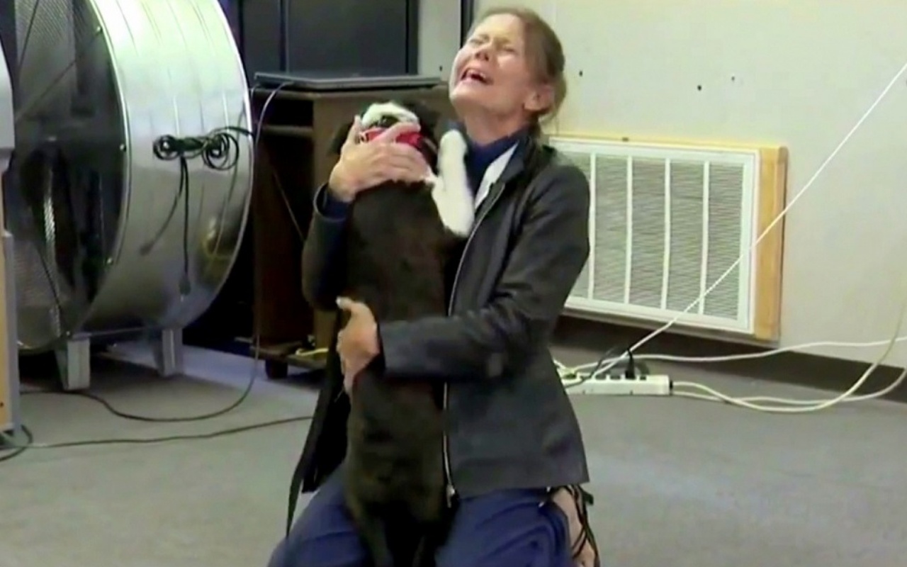 Ritrova il suo cane Zeus dopo due anni: era finito in un’altra città