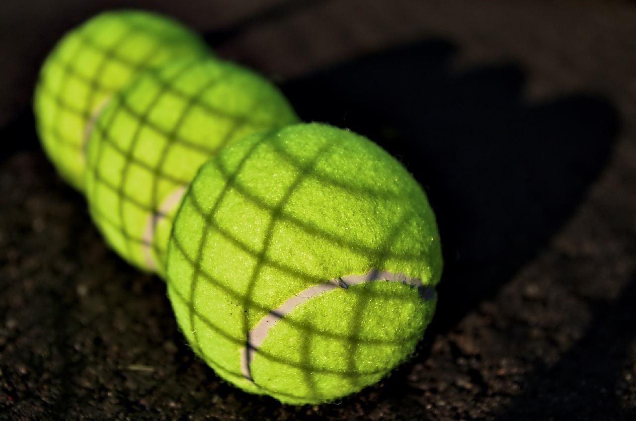 Pallina da tennis per i cani