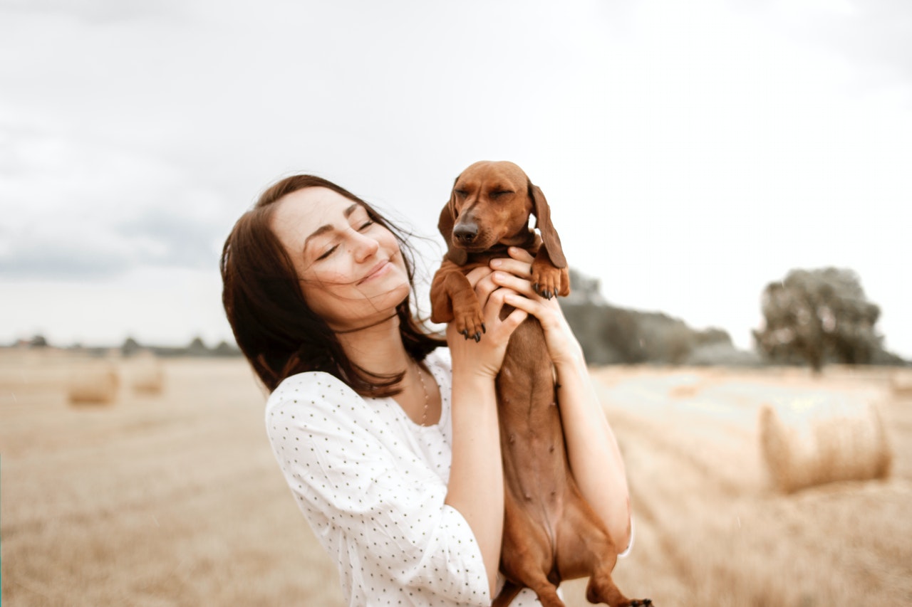 Benefici di accarezzare cani e gatti: quali sono e come cambiano la nostra vita