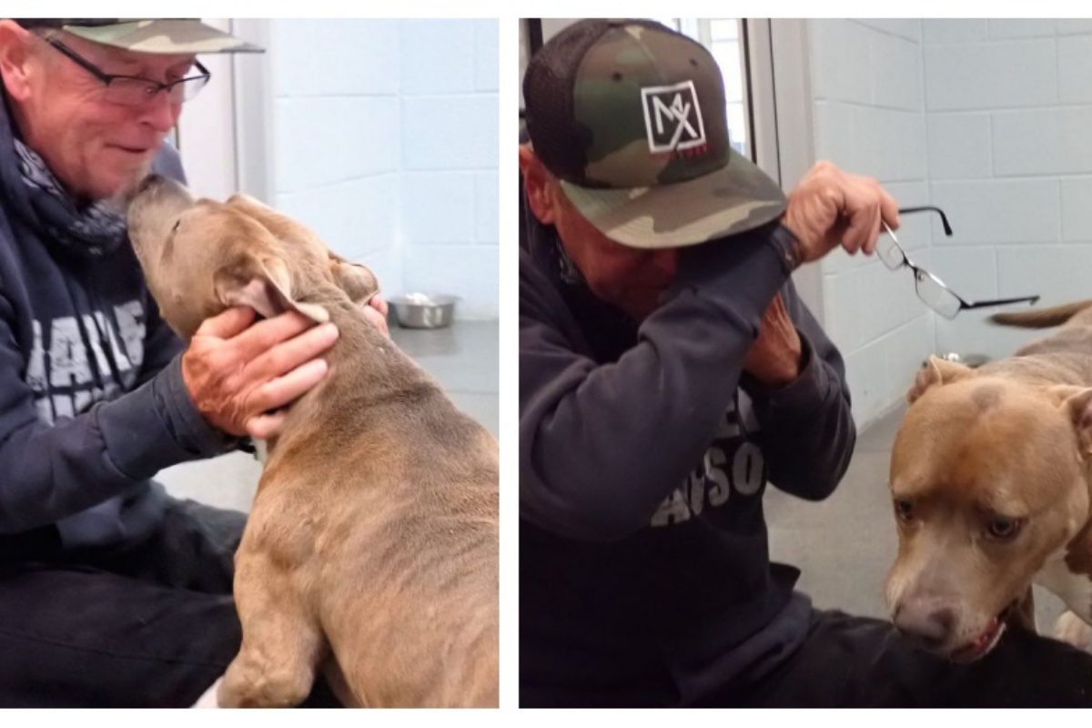 La commovente riunione tra il cane Blue e Pat Livesay