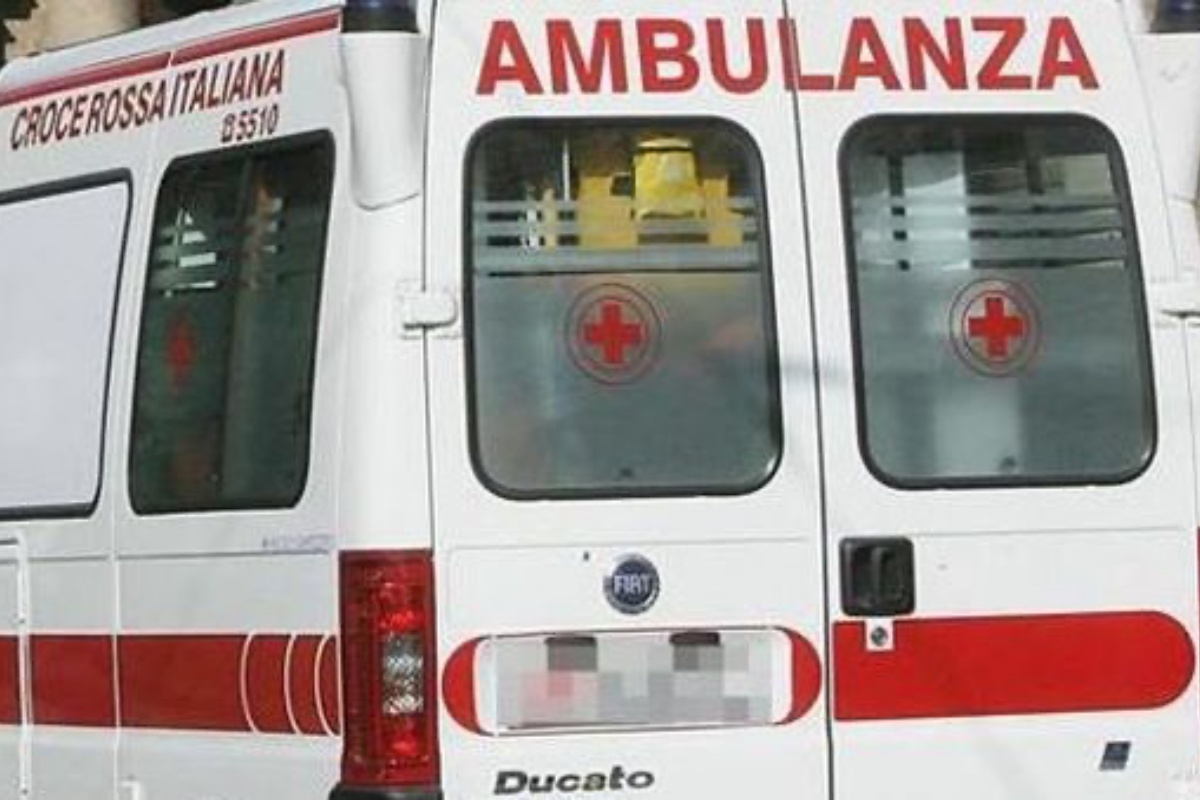 bus neonato ferito